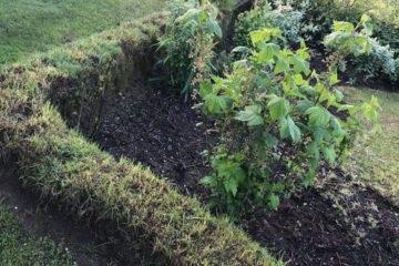 Beeteinfassung mit Grassoden